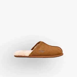 Chinelos Ugg M Scuff