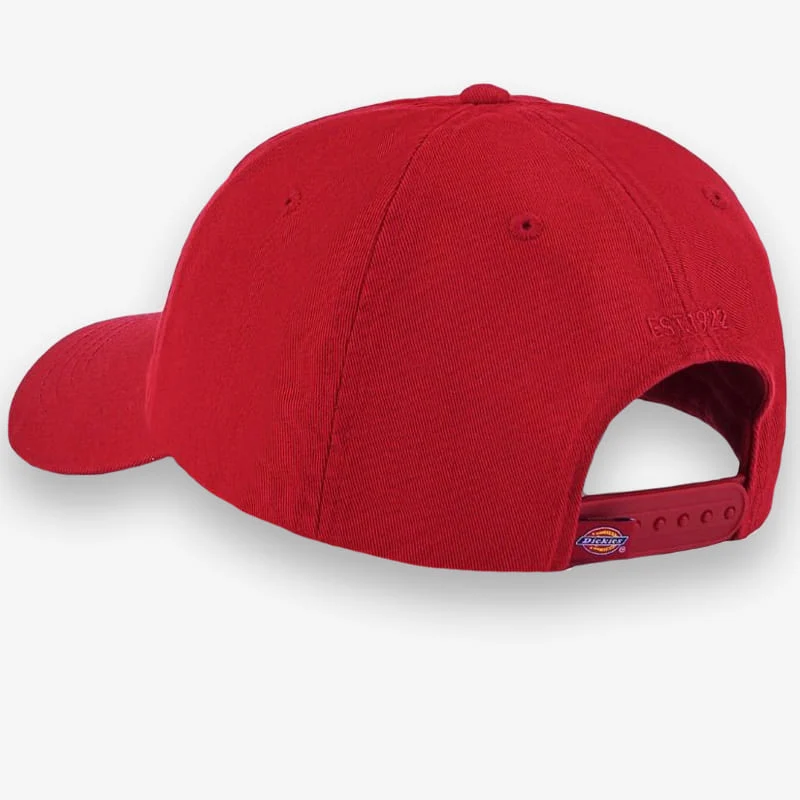 Boné Dickies Hardwick - Image 3
