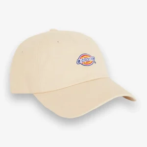Boné Dickies Hardwick